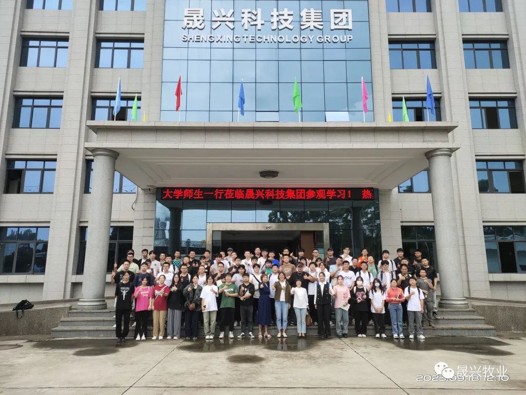 蛋雞養(yǎng)殖設備 蛋雞養(yǎng)殖設備
